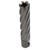 Twin Eagle Imports Annular Cutter 20 x 75mm D.O.C HSS Weldon Shank Annular Cutter