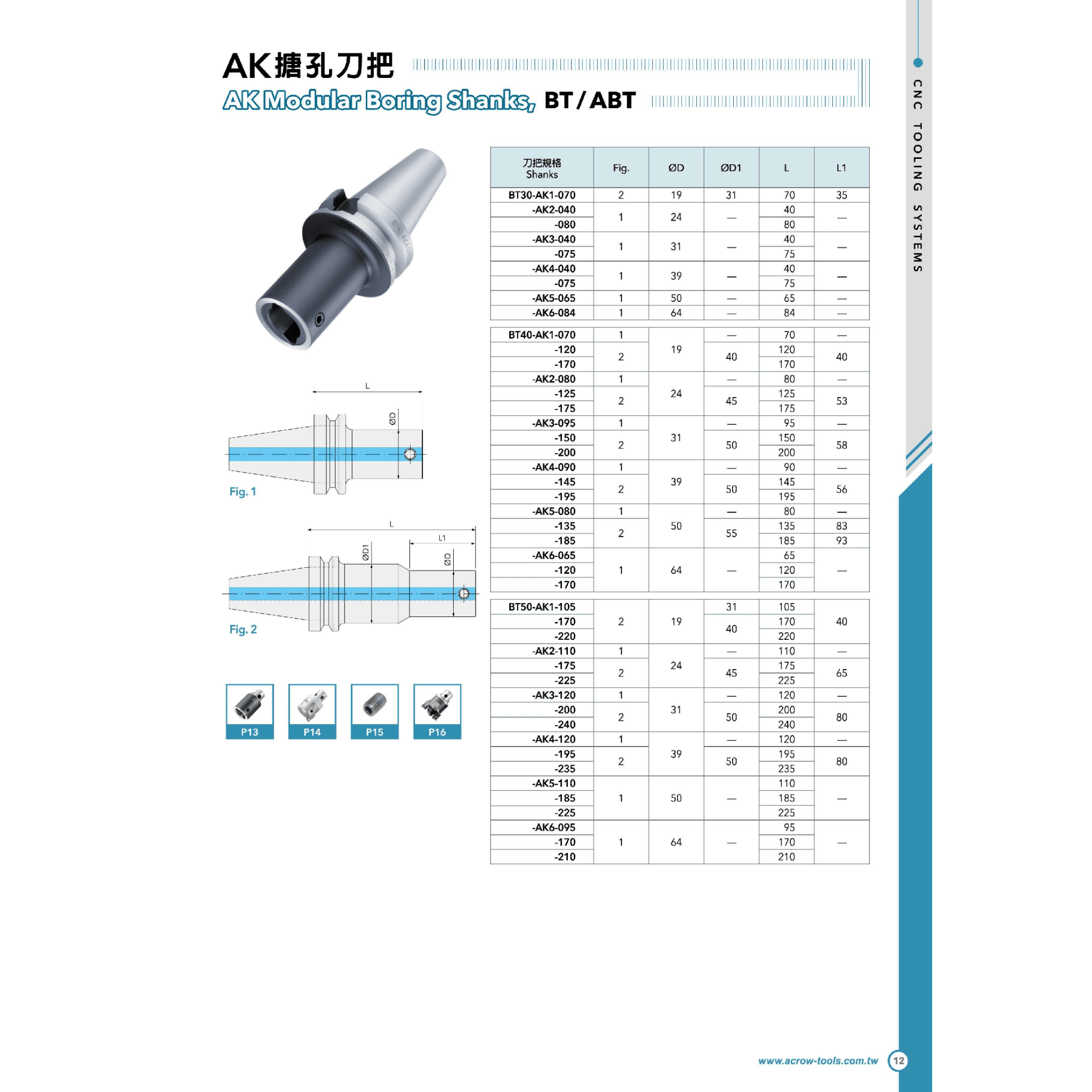 Acrow BT50-AK3-120 – AK Modular Boring Shank (Ø31 mm, 120 mm Length) - Twin Eagle Imports