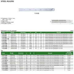 Insize Stainless Steel Ruler 300mm/12" Range Series 7110-3001 - Twin Eagle Imports