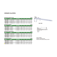 Insize Vernier Caliper 0-300mm Range Series 1205-3001S - Twin Eagle Imports