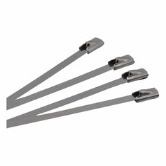 Raptor Cable Tie RAPTOR 304 Stainless Steel 300mm x 4.8mm Cable Ties, 20 Pack