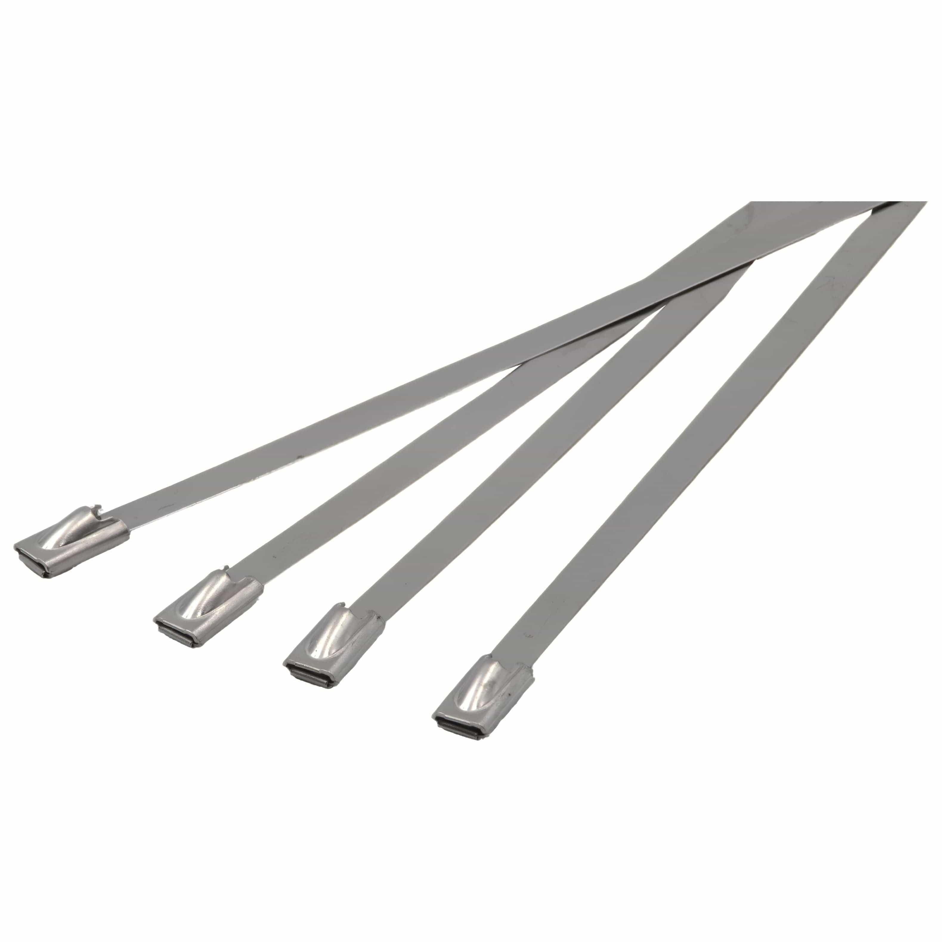 Raptor Cable Tie RAPTOR 304 Stainless Steel 300mm x 4.8mm Cable Ties, 20 Pack