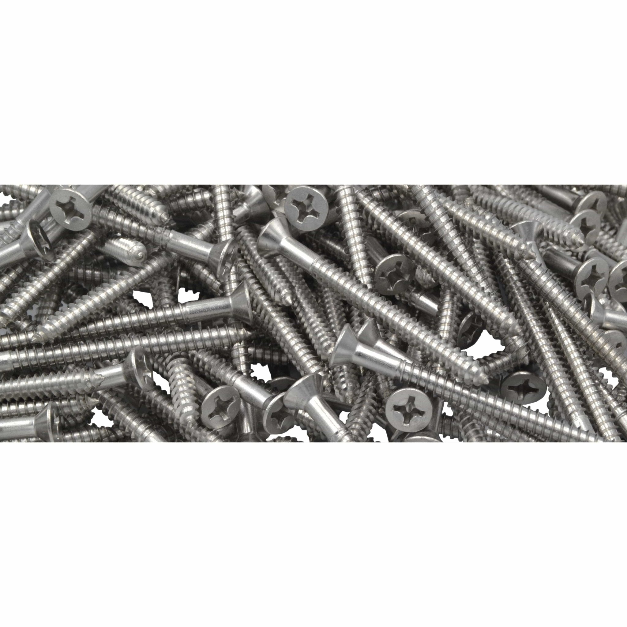 x1000 304 Stainless Steel 12G x 63mm Wood Screws Grab Kit - Twin Eagle Imports