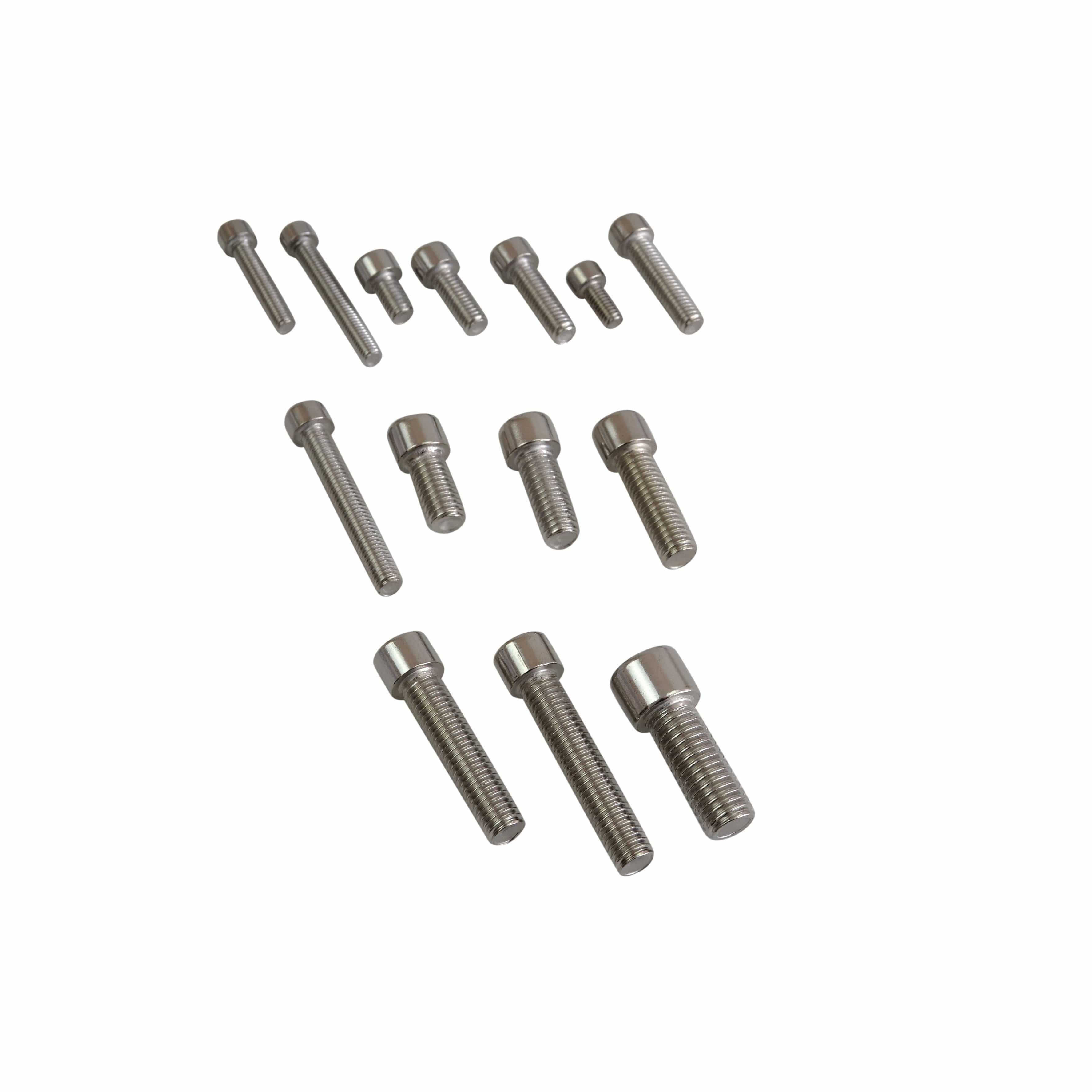 Twin Eagle Imports Grab Kits 90pc Stainless Steel Cap Screw Bolt Assortment  Grab Kit